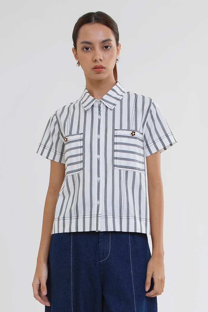 Black Striped Velia