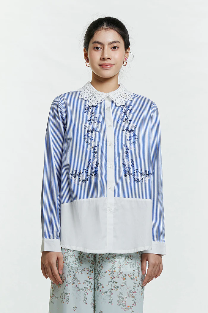 Blue Striped Arar