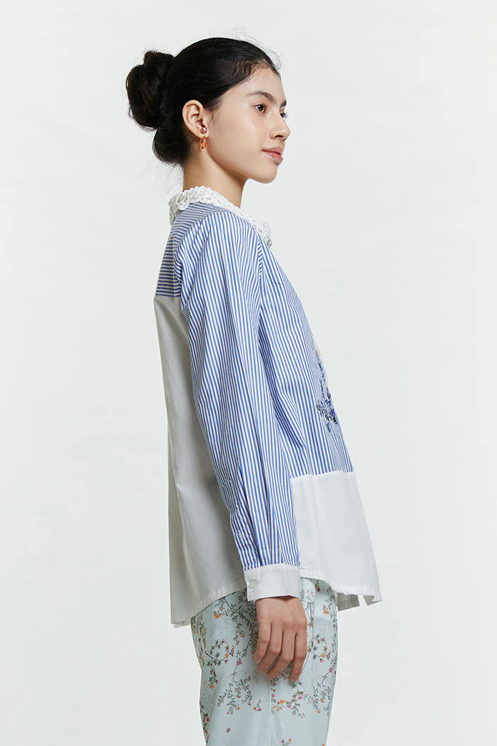 Blue Striped Arar - Image 5