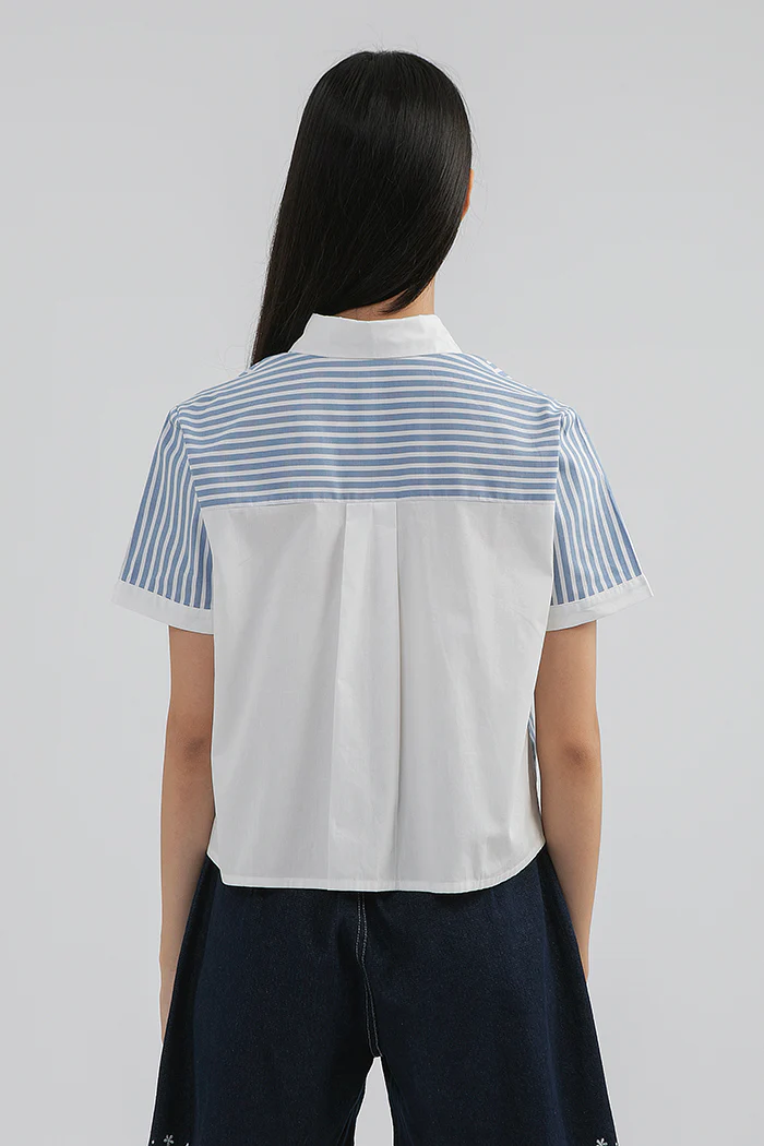 Blue Striped Krier - Image 4