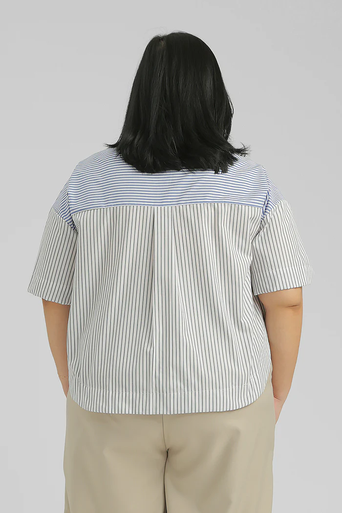 Blue Striped Norbu - Image 4