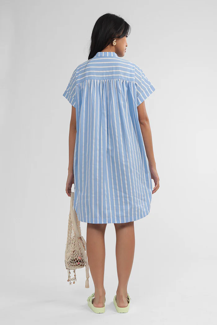 Blue Striped Savoy - Image 4
