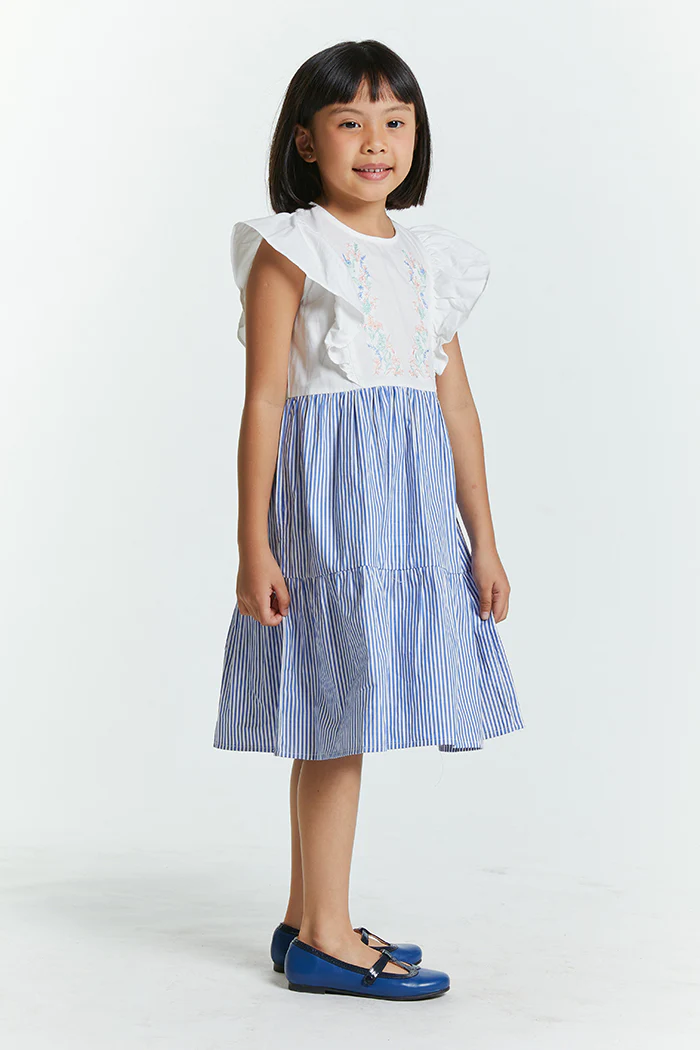 Blue Striped Sazwa - Image 5