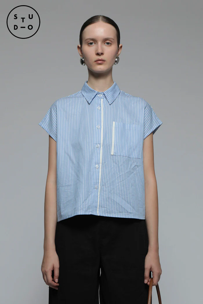 Light Blue Striped Veldt