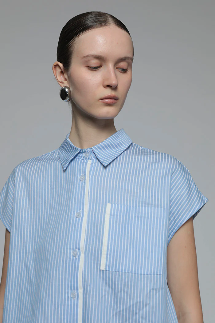 Light Blue Striped Veldt - Image 5