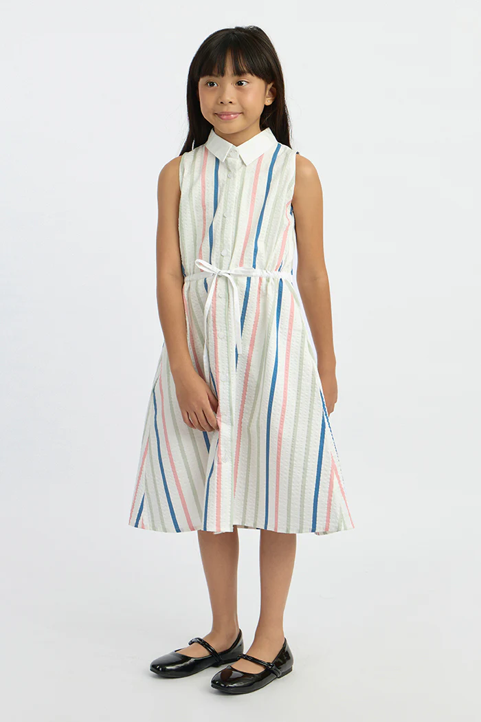 Multicolor Striped Amour - Image 7