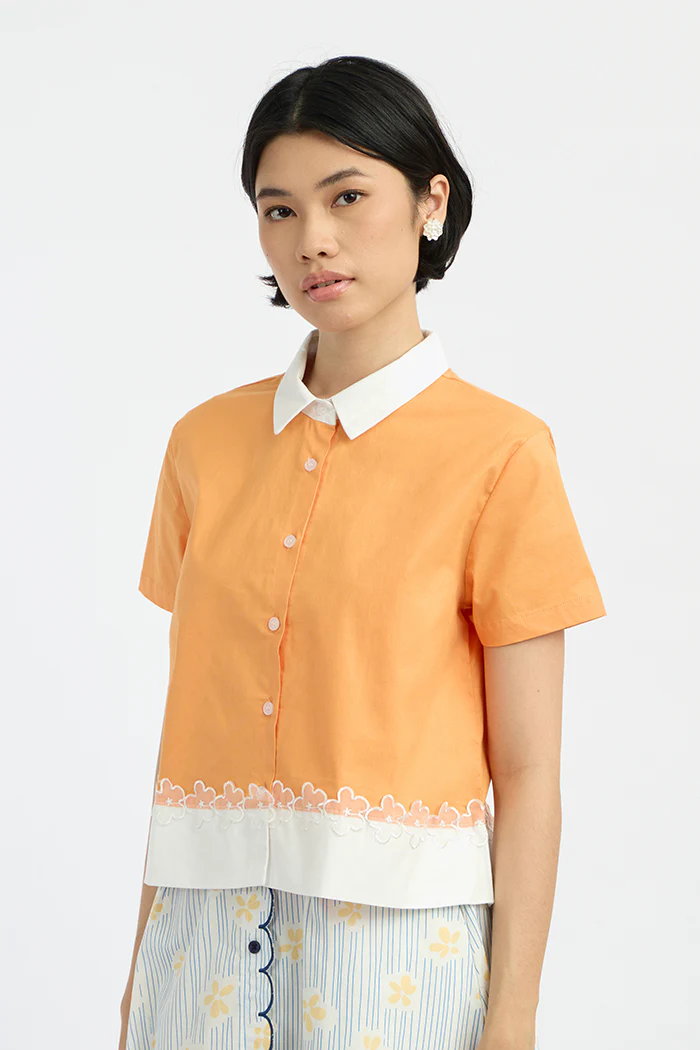 Orange Lucero - Image 3