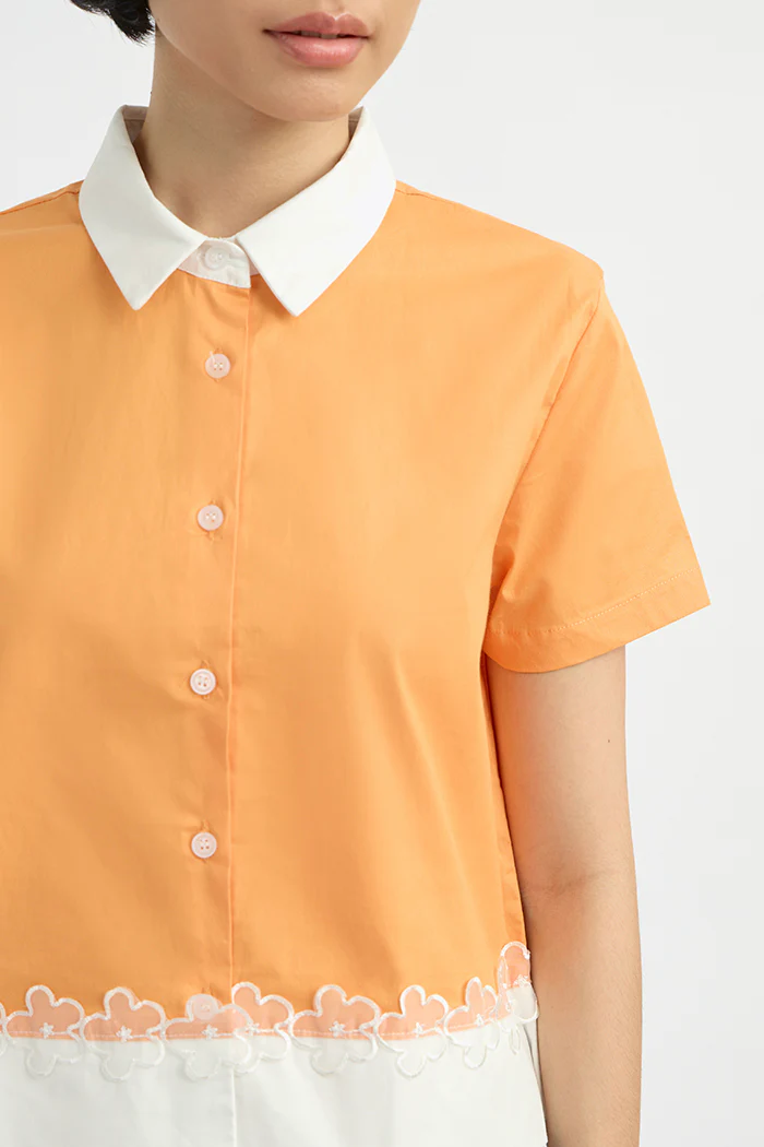 Orange Lucero - Image 5