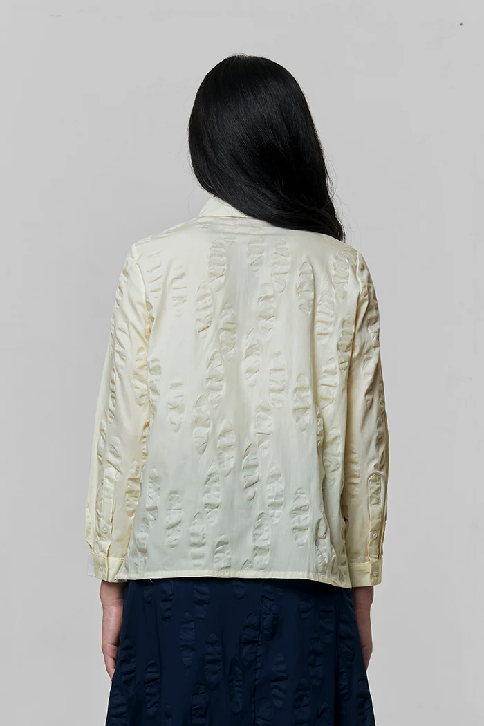 Yellow Zeph - Image 4